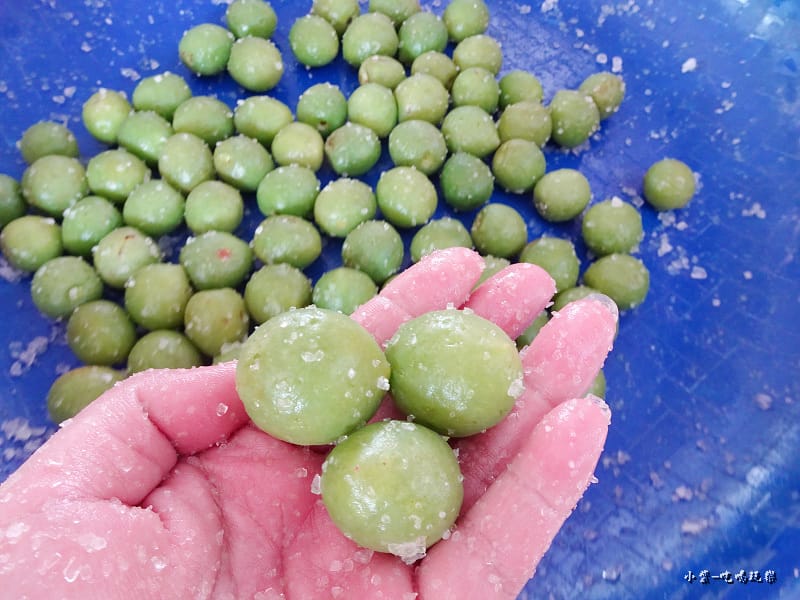 醃脆梅DIY6.jpg 醃脆梅DIY6.jpg