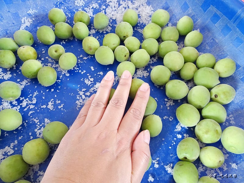 醃脆梅DIY3.jpg 醃脆梅DIY3.jpg