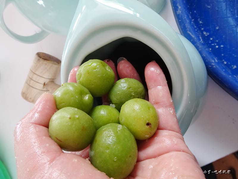 醃脆梅DIY12.jpg 醃脆梅DIY12.jpg