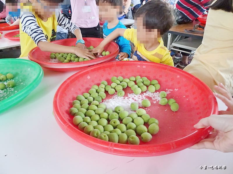 醃脆梅DIY2.jpg 醃脆梅DIY2.jpg