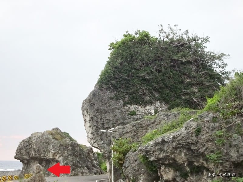 小琉球厚石群礁 (5)13.jpg 小琉球厚石群礁 (5)13.jpg
