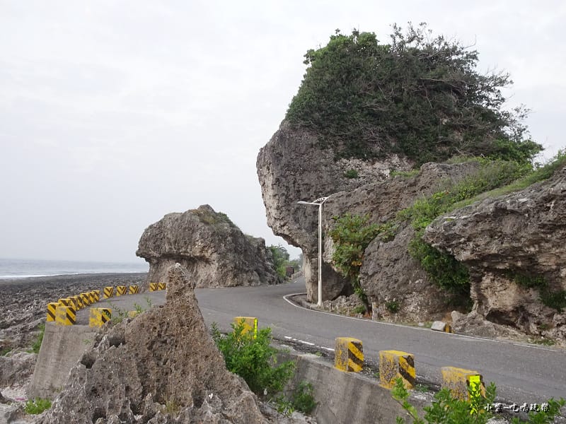 小琉球厚石群礁 (8)16.jpg 小琉球厚石群礁 (8)16.jpg