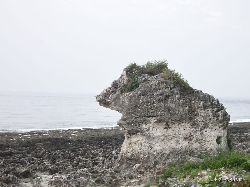 小琉球厚石群礁 (7)15.jpg 小琉球厚石群礁 (7)15.jpg