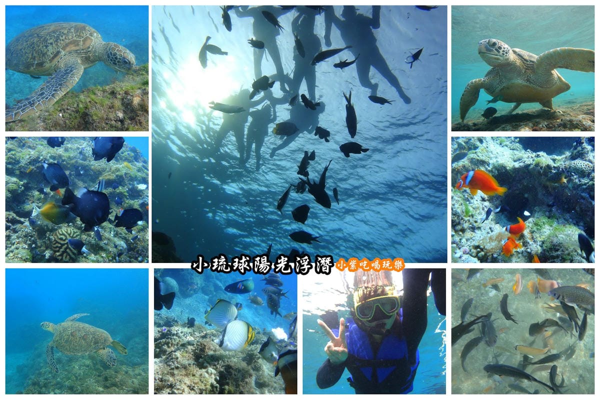 海底世界-陽光浮潛.jpg 海底世界-陽光浮潛.jpg