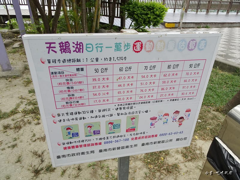 天鵝湖水上公園 (1).jpg