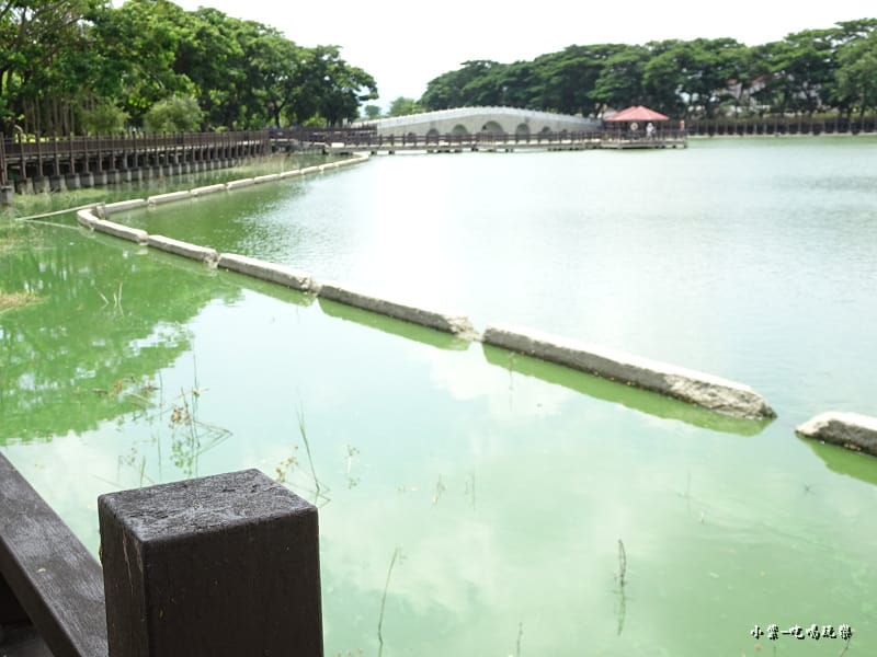 天鵝湖水上公園 (3).jpg