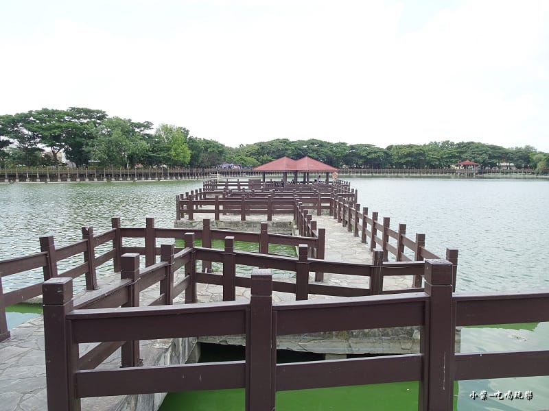 天鵝湖水上公園 (6).jpg