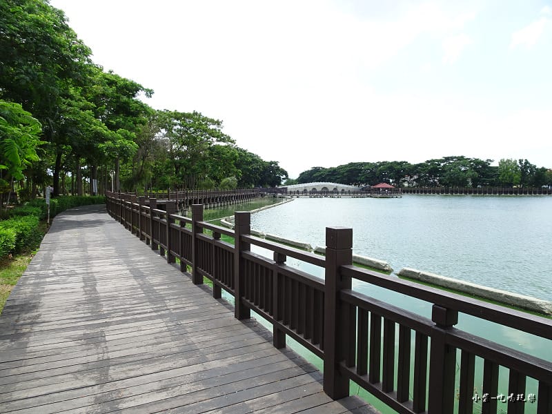 天鵝湖水上公園 (4).jpg