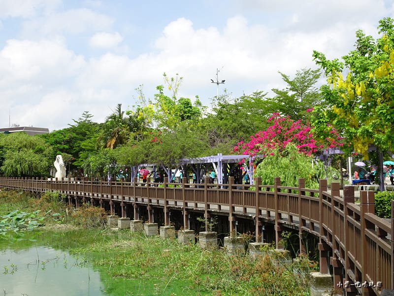 天鵝湖水上公園 (2).jpg