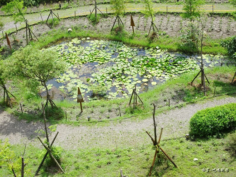 戶外生態池 (1).jpg 戶外生態池 (1).jpg