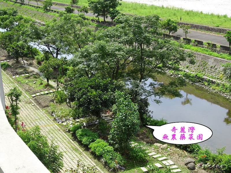 菜園 (1).jpg 菜園 (1).jpg