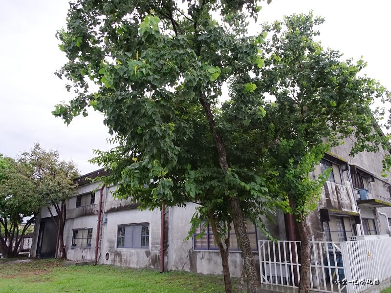 中興文化創意園區 (1).jpg