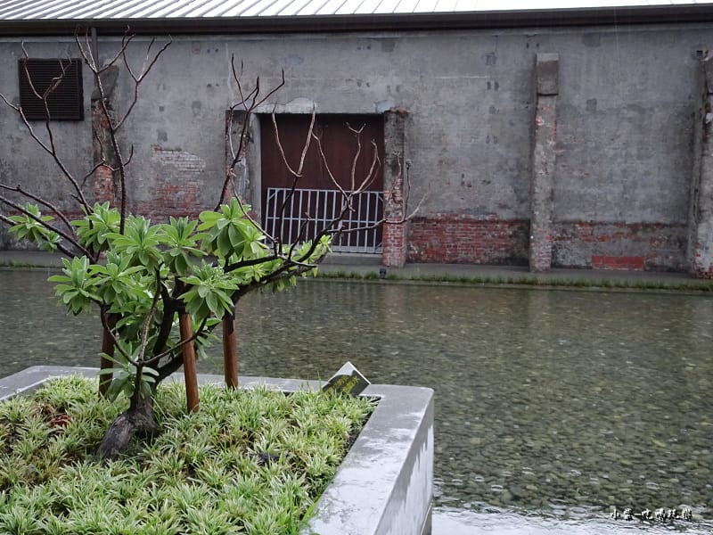 水池 (6).jpg