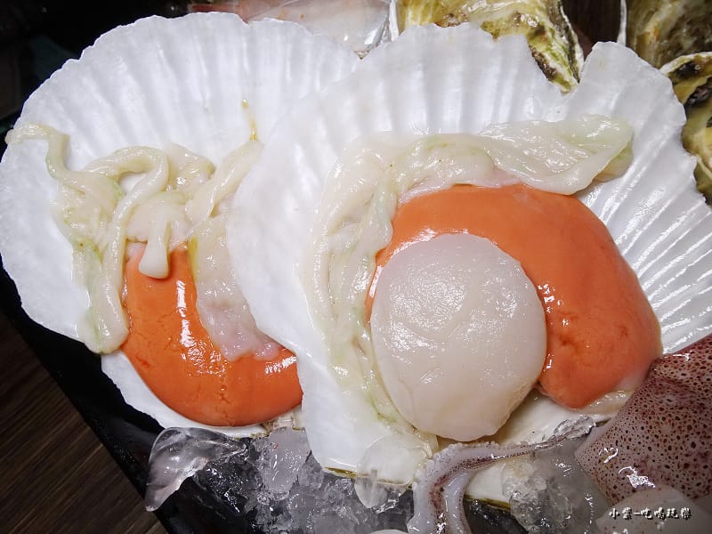 日本大扇貝 (1).jpg