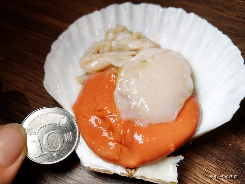 日本大扇貝 (3).jpg