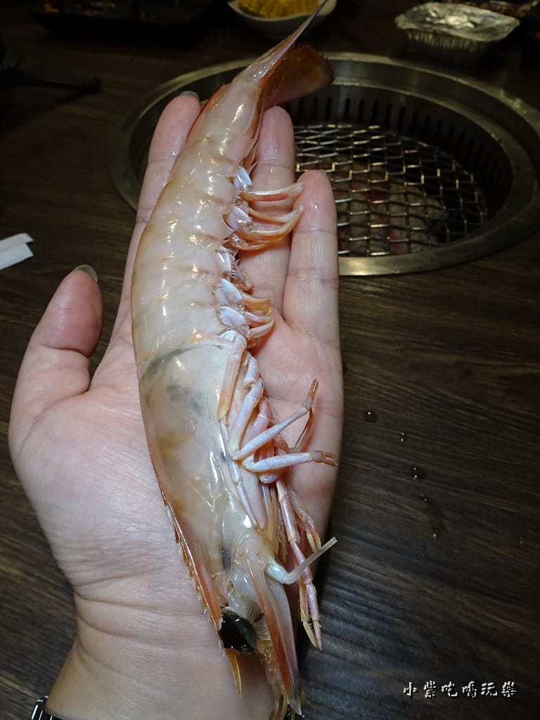 國王蝦.jpg