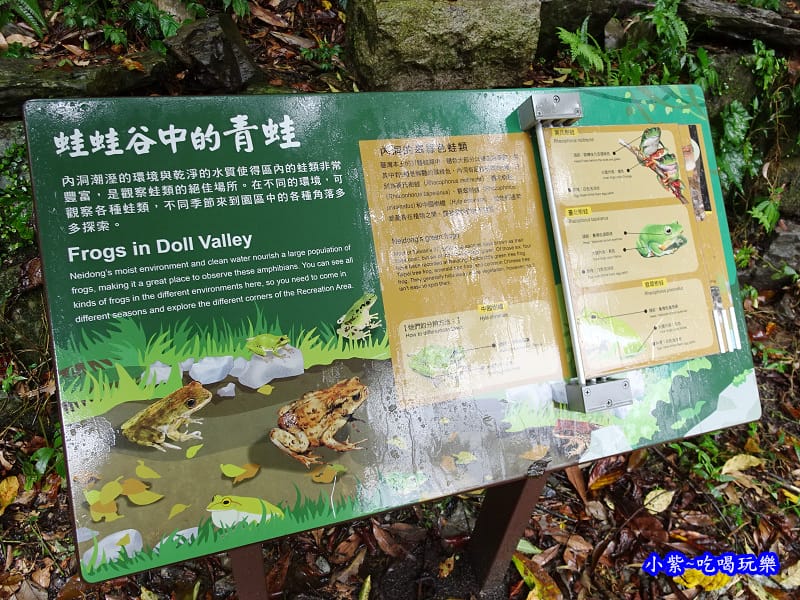 烏紗溪瀑布-內洞森林遊樂區 (21).jpg 烏紗溪瀑布-內洞森林遊樂區 (21).jpg