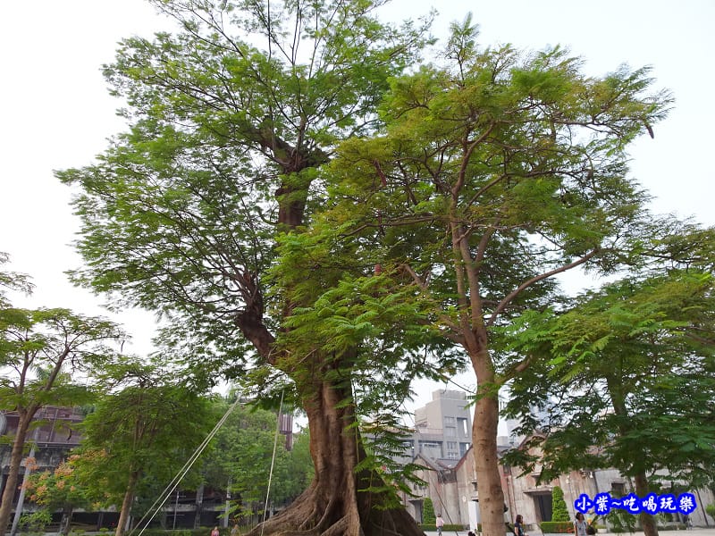 台中文創園區2018.11 (16).jpg 台中文創園區2018.11 (16).jpg