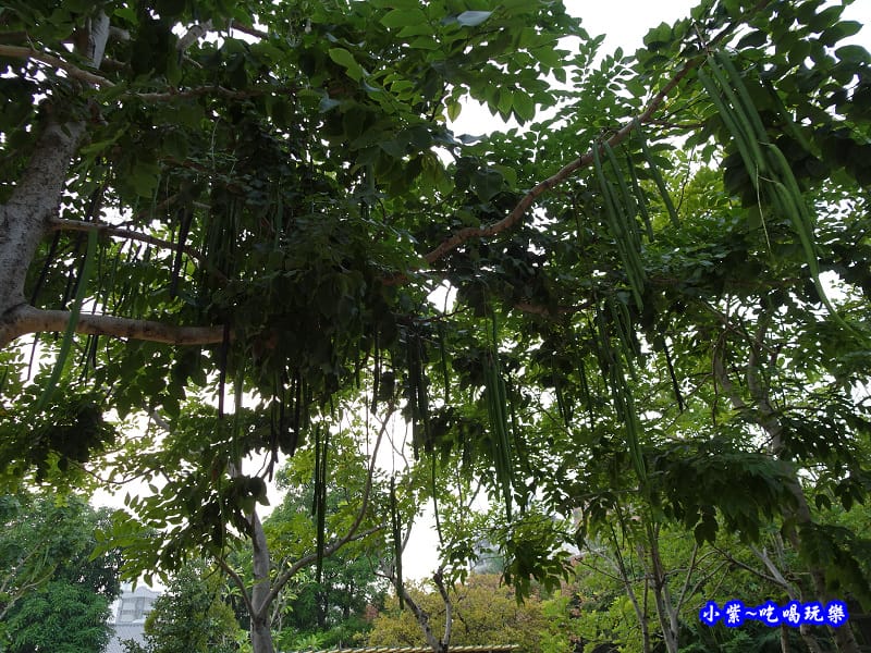 台中文創園區2018.11 (11).jpg 台中文創園區2018.11 (11).jpg