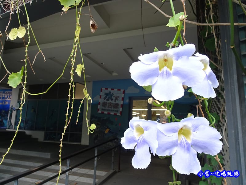 水下考古趣-渭水樓22.jpg 水下考古趣-渭水樓22.jpg