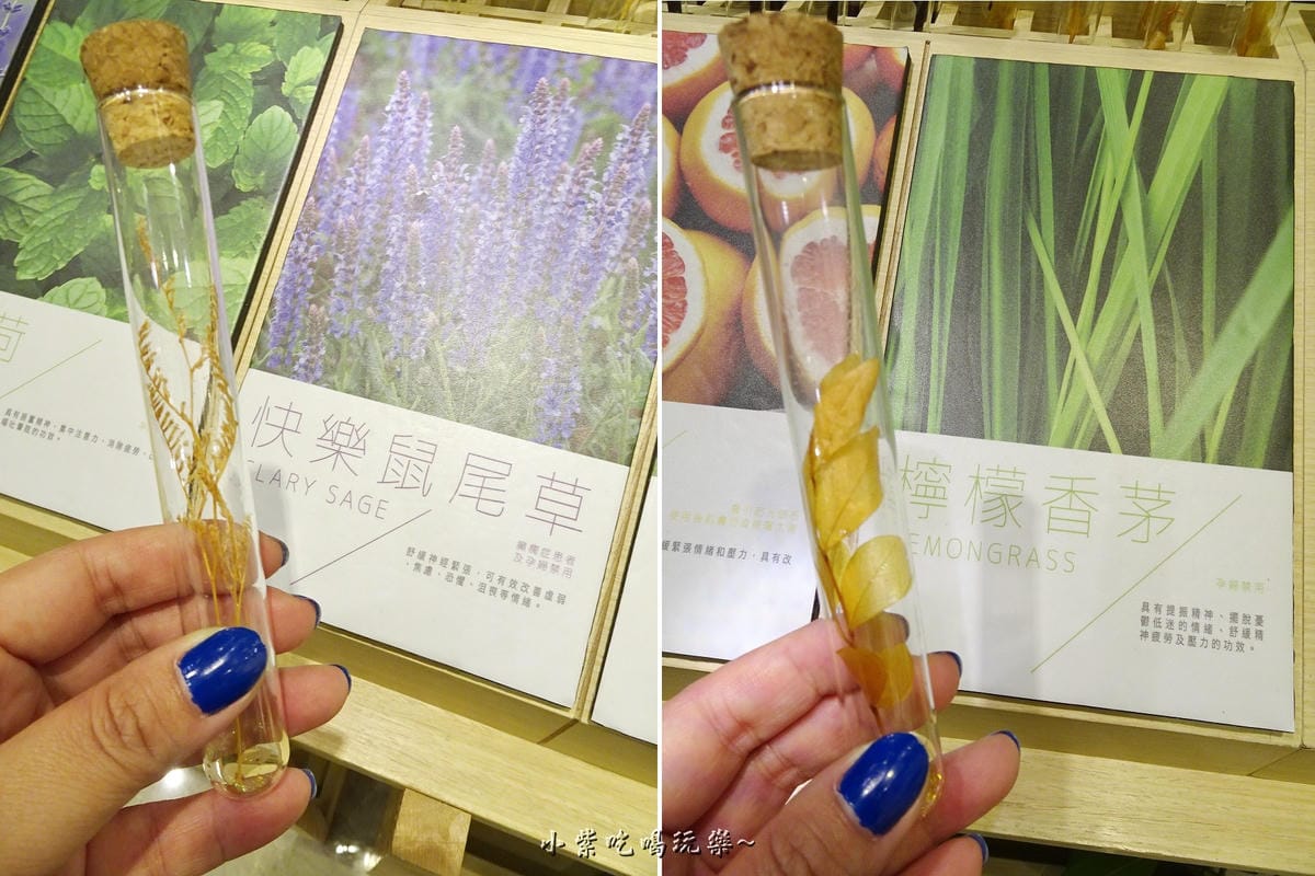 一樓多肉植物聞香區 (6).jpg