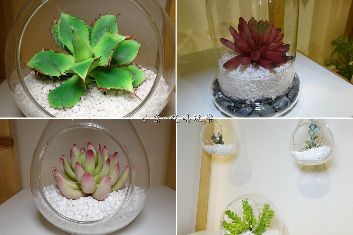 一樓多肉植物聞香區 (2).jpg