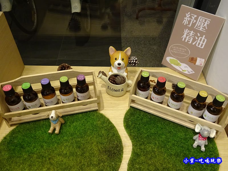 一樓多肉植物聞香區 (1).jpg
