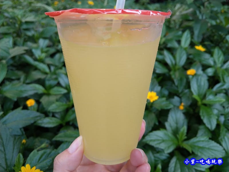 白玉甘蔗檸檬-麻糬大王.jpg 白玉甘蔗檸檬-麻糬大王.jpg