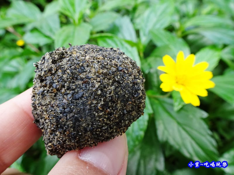 芝麻口味-麻糬大王程文照4.jpg 芝麻口味-麻糬大王程文照4.jpg