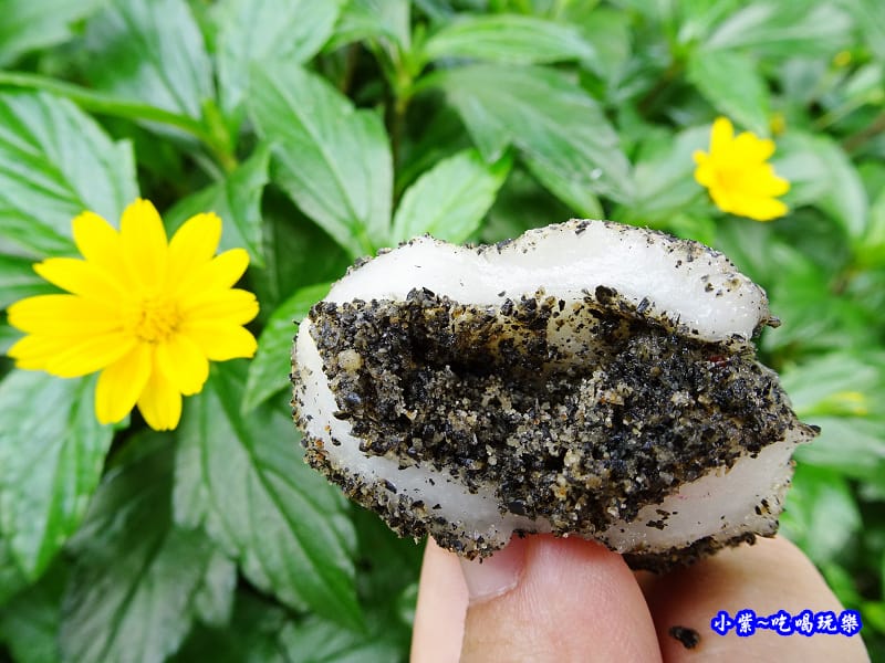 芝麻口味-麻糬大王程文照5.jpg 芝麻口味-麻糬大王程文照5.jpg