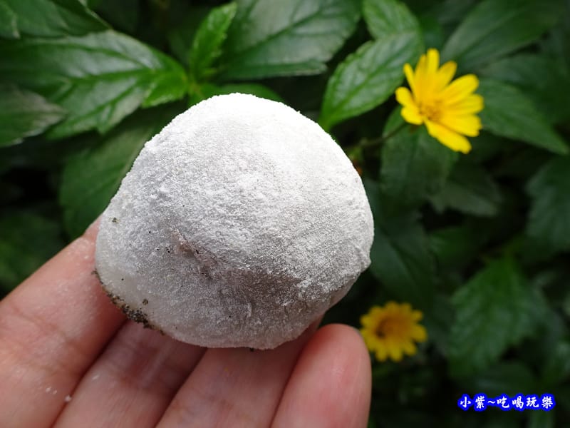 紅豆口味-麻糬大王程文照2.jpg 紅豆口味-麻糬大王程文照2.jpg