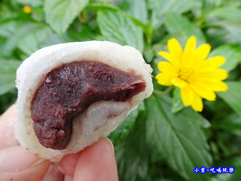 紅豆口味-麻糬大王程文照3.jpg 紅豆口味-麻糬大王程文照3.jpg