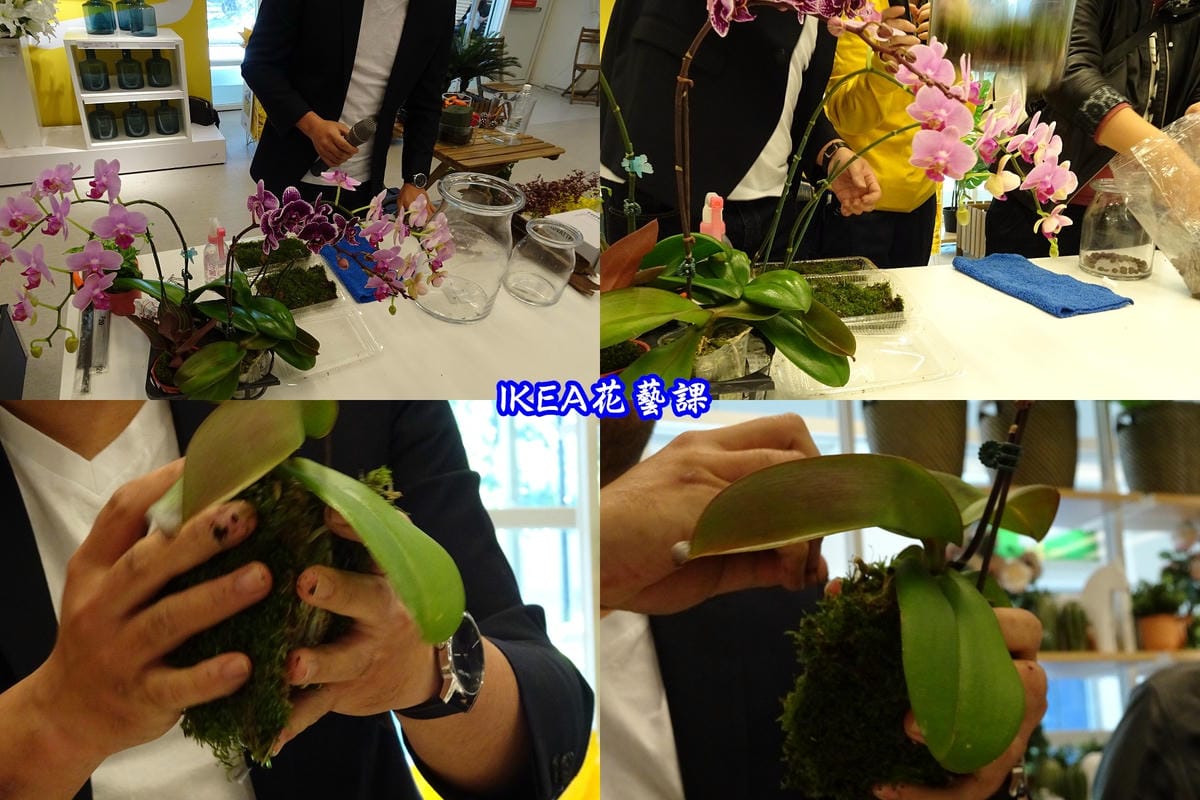 IKEA宜家家居花藝DIY (2).jpg IKEA宜家家居花藝DIY (2).jpg