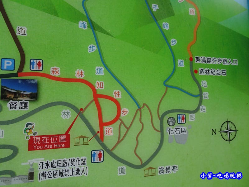 北橫一日遊【東眼山國家森林遊樂區】四周群山環繞、園區主要以柳