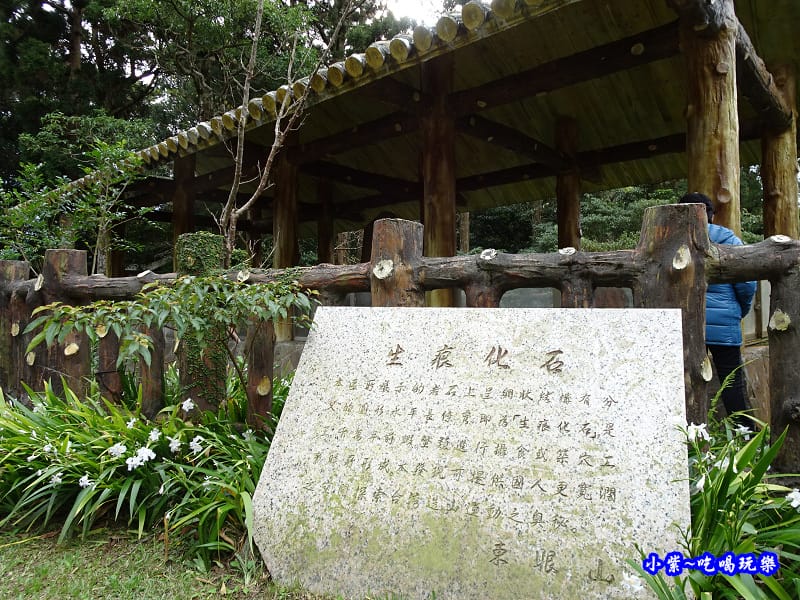 生痕化石區 (5).jpg