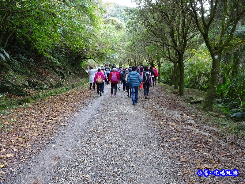 北橫一日遊【東眼山國家森林遊樂區】四周群山環繞、園區主要以柳