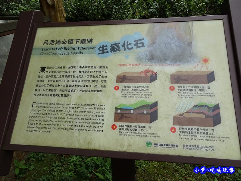 北橫一日遊【東眼山國家森林遊樂區】四周群山環繞、園區主要以柳