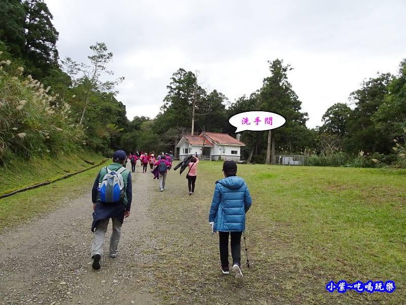 北橫一日遊【東眼山國家森林遊樂區】四周群山環繞、園區主要以柳