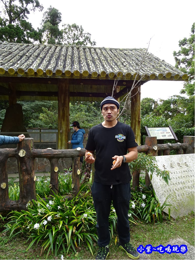 生痕化石區 (6).jpg