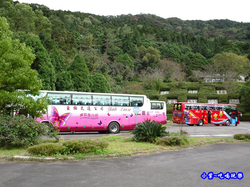 北橫一日遊【東眼山國家森林遊樂區】四周群山環繞、園區主要以柳