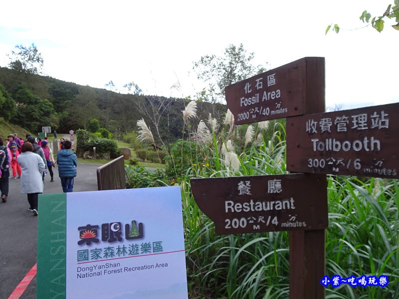 北橫一日遊【東眼山國家森林遊樂區】四周群山環繞、園區主要以柳