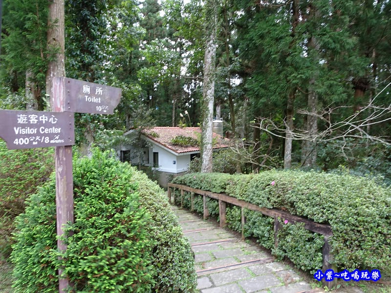 北橫一日遊【東眼山國家森林遊樂區】四周群山環繞、園區主要以柳