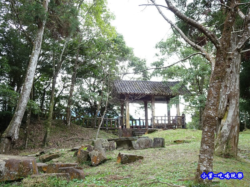 北橫一日遊【東眼山國家森林遊樂區】四周群山環繞、園區主要以柳