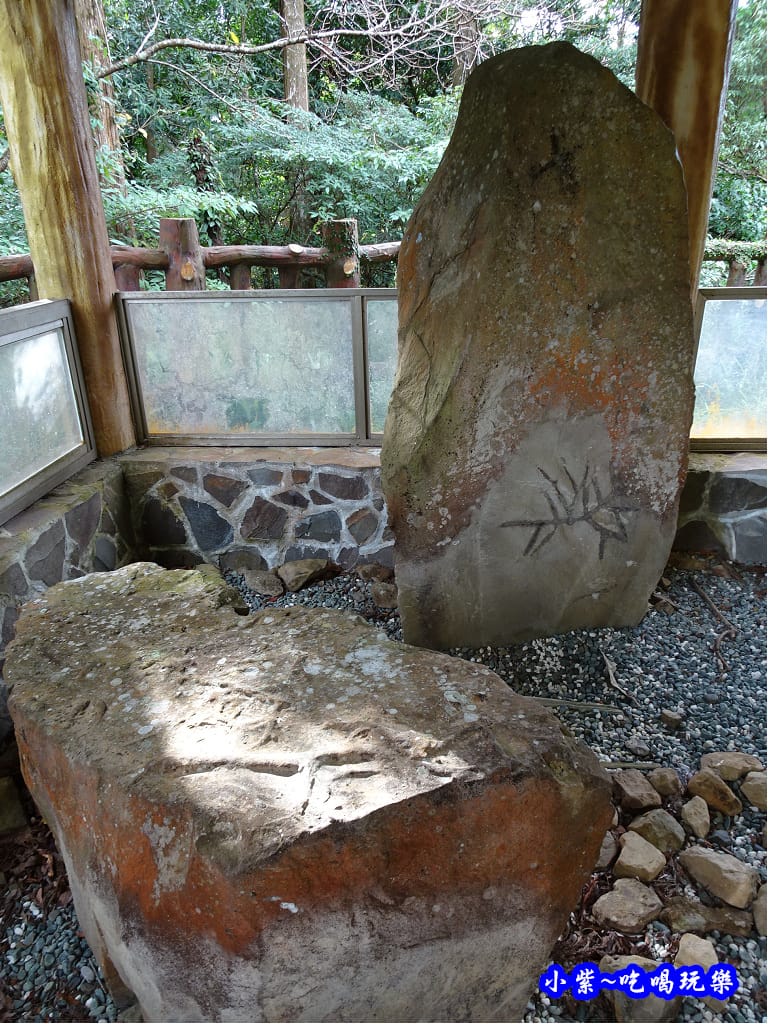 生痕化石區 (3).jpg