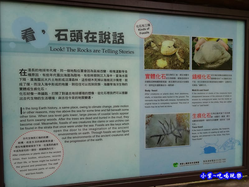 北橫一日遊【東眼山國家森林遊樂區】四周群山環繞、園區主要以柳