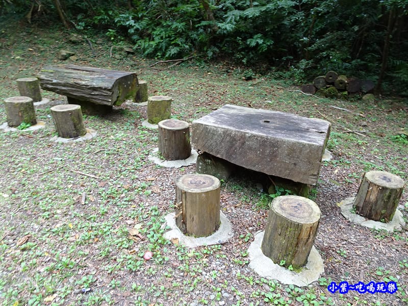 北橫一日遊【東眼山國家森林遊樂區】四周群山環繞、園區主要以柳