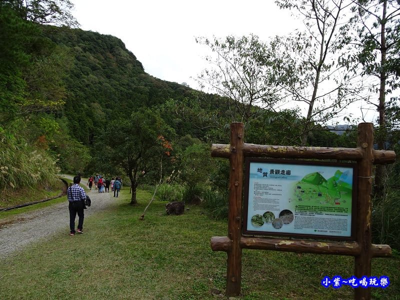 北橫一日遊【東眼山國家森林遊樂區】四周群山環繞、園區主要以柳