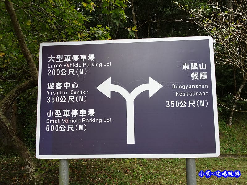 北橫一日遊【東眼山國家森林遊樂區】四周群山環繞、園區主要以柳