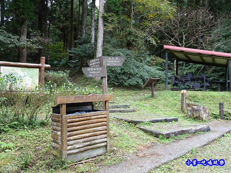 北橫一日遊【東眼山國家森林遊樂區】四周群山環繞、園區主要以柳