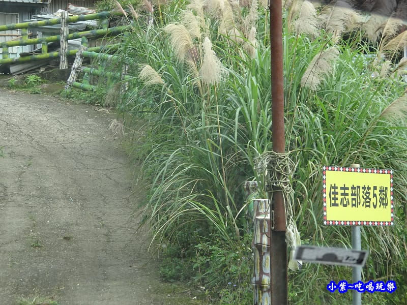 佳志部落8鄰 (1).jpg 佳志部落8鄰 (1).jpg